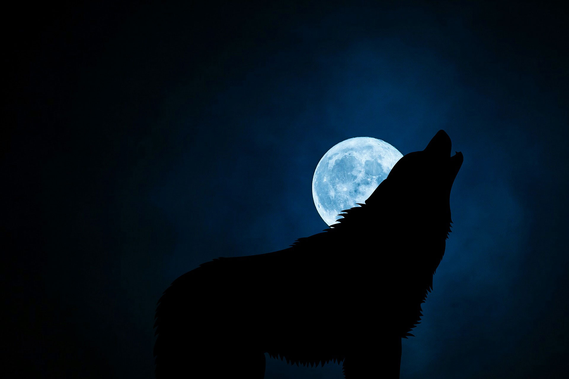 Worldwide Howl at the Moon Night